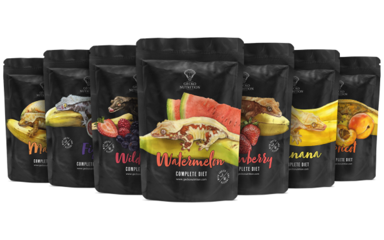 Gecko Nutrition Testpaket
